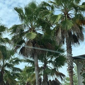 Meet your Posher, Ashlyn